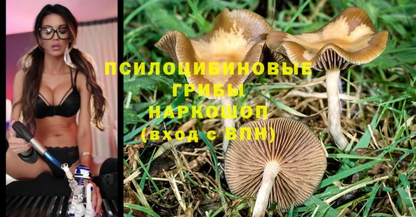 соль ск Вязьма
