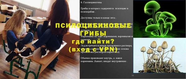 соль ск Вязьма
