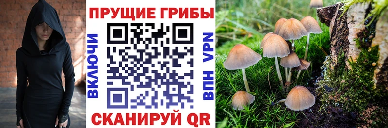Галлюциногенные грибы ЛСД  Елизаветинская 
